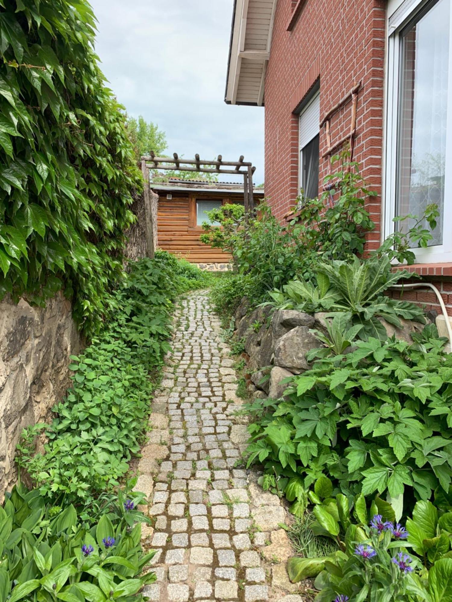 Blockhausvermietung "Vor Dem Groeperntor" Кведлінбург Екстер'єр фото