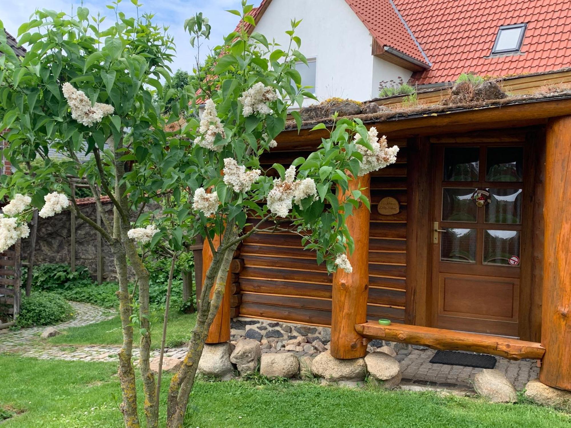 Blockhausvermietung "Vor Dem Groeperntor" Кведлінбург Екстер'єр фото